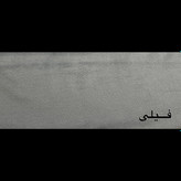 فیلی