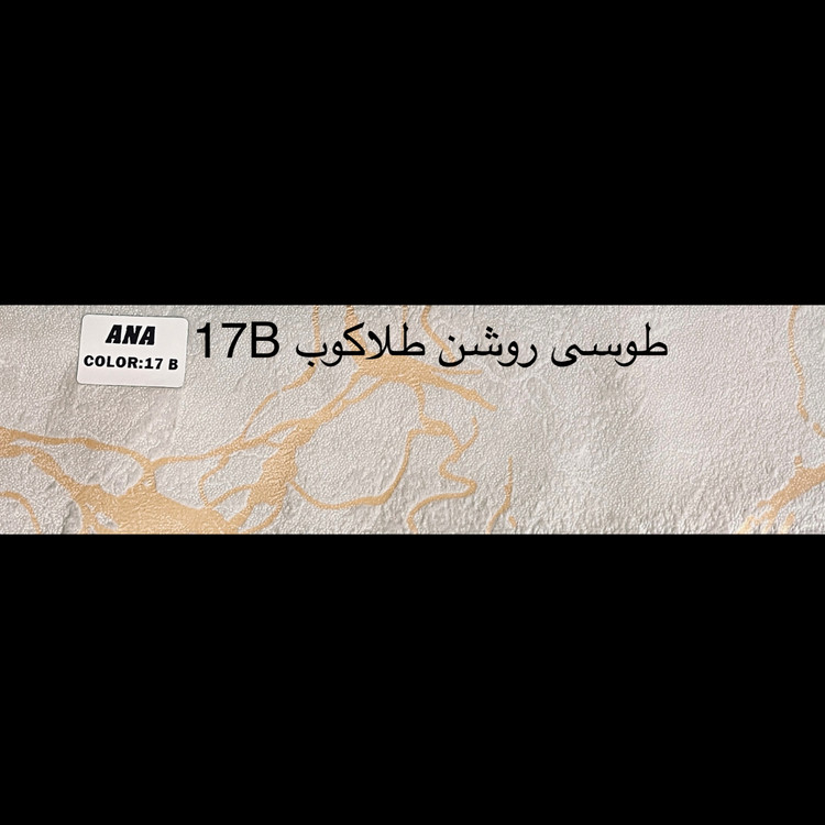 طوسی روشن