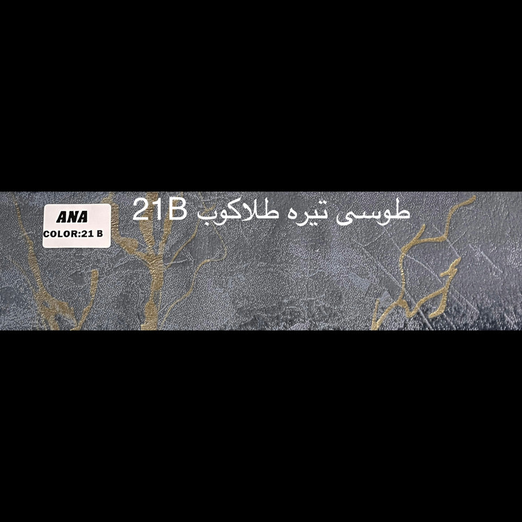 طوسی تیره