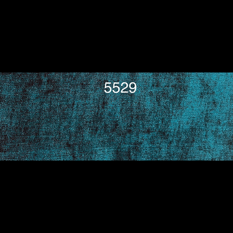 5529
